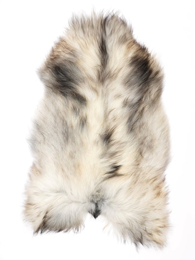 Pelle di pecora grigia islandese XL