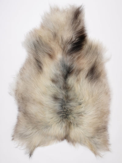 Pelle di pecora grigia islandese XL