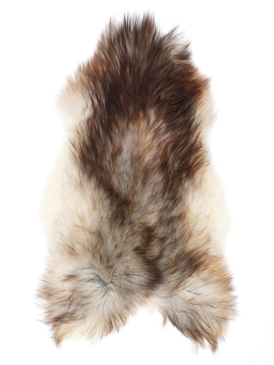 Pelle di pecora grigia islandese XXL