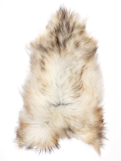 Pelle di pecora grigia islandese XL