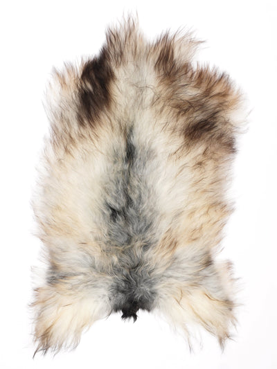 Pelle di pecora grigia islandese L