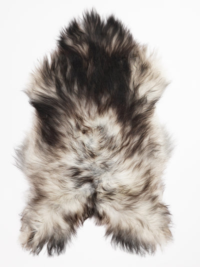 Pelle di pecora grigia islandese XL