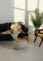 Pelle di pecora muflon