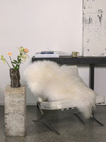 Pelle di pecora islandese