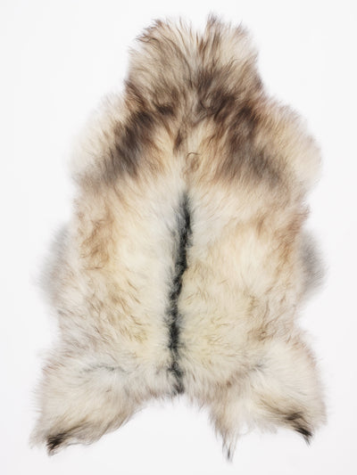 Pelle di pecora islandese multicolore XL