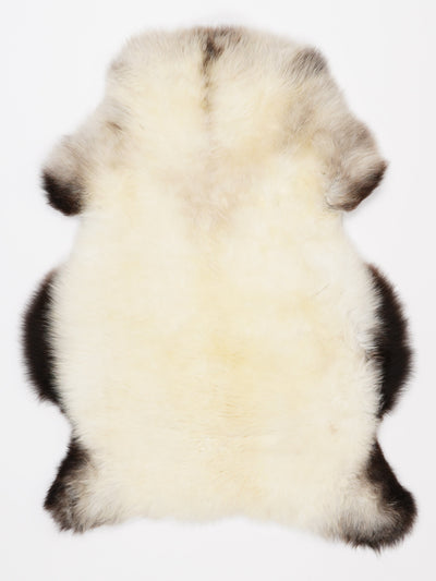 Pelle di pecora multicolore M