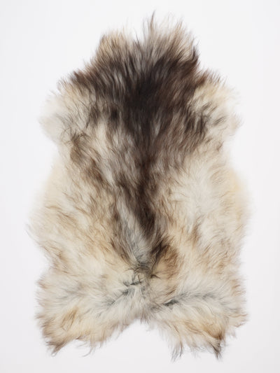 Pelle di pecora islandese multicolore XL