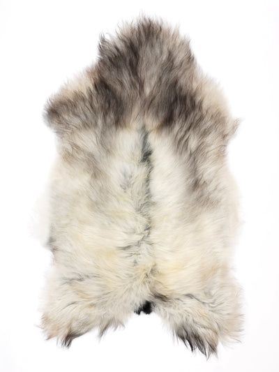 Pelle di pecora grigia islandese XXL