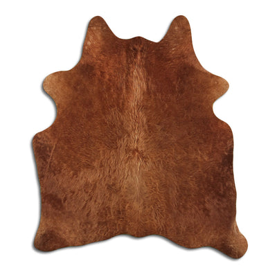Pelle bovina marrone M