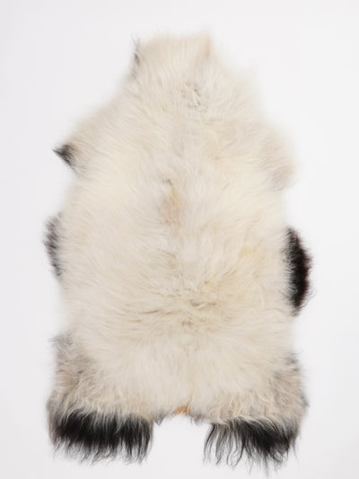 Pelle di pecora islandese multicolore L