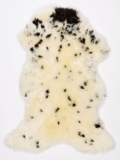 Pelle di pecora multicolore L