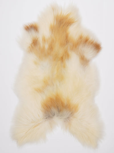 Pelle di pecora islandese multicolore XL