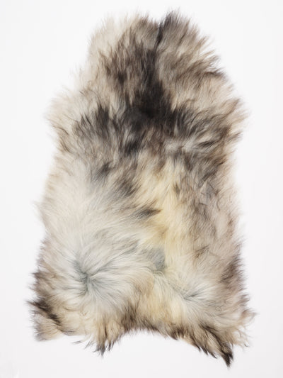 Pelle di pecora grigia islandese XXXL