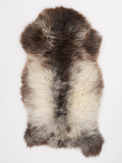 Pelle di pecora multicolore XL