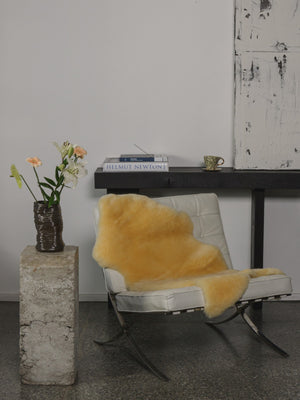 Pelle di pecora medicale (pelo corto)