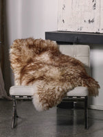 Mouflon sheepskin