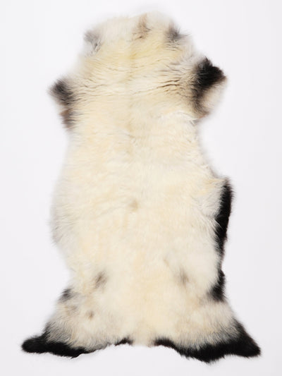 Pelle di pecora multicolore M