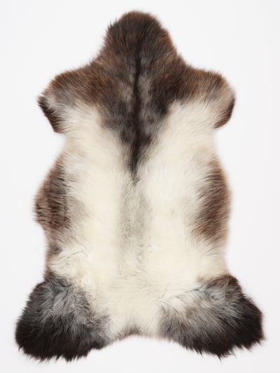 Pelle di pecora multicolore L