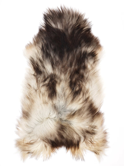 Pelle di pecora grigia islandese XXXL