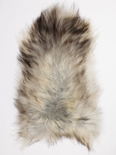 Pelle di pecora grigia islandese XL